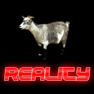 RealitY-06300