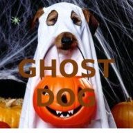 ghostdog